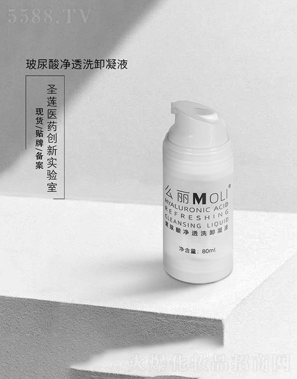 VʥɏtˎƼ޹˾Vʥɏ   ʥɏ͸ϴжҺ  80ml   غ͟o̼