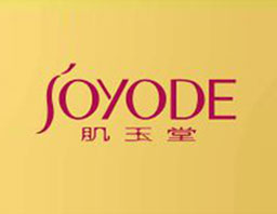 �V���������Ƽ����޹�˾