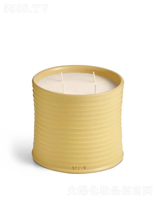 LOEWE̖(ho)y㾫ϞT 100