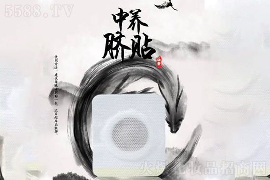 中養透骨草舒活貼 中養透骨草舒活貼